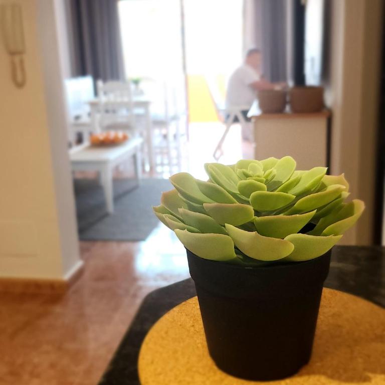 Diamante de la Bahia - Two-Bedroom Apartment - 29