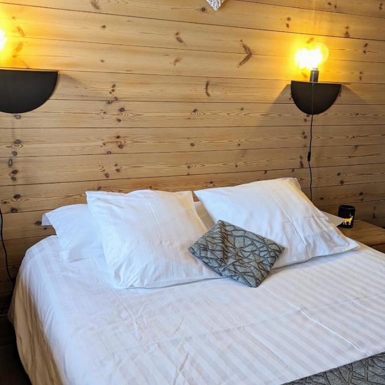Chalet Lè Lodzé - Pieds des pistes - Appartement 2 Chambres - 29