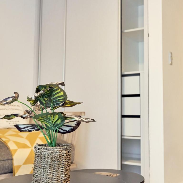 Barraca 72 - Studio Apartment - 4