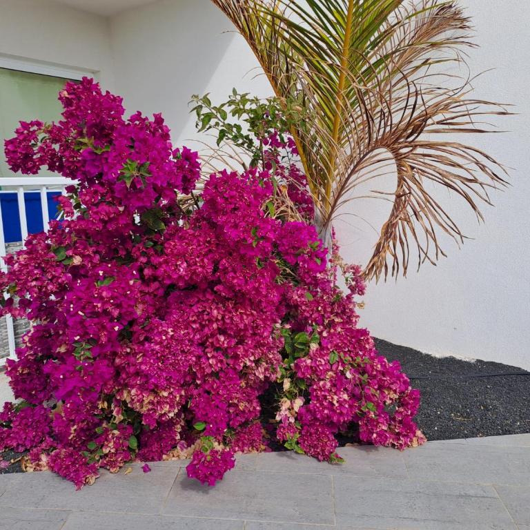 Luxury Sea View Senator Lanzarote - Apartamento de 1 dormitorio - 46