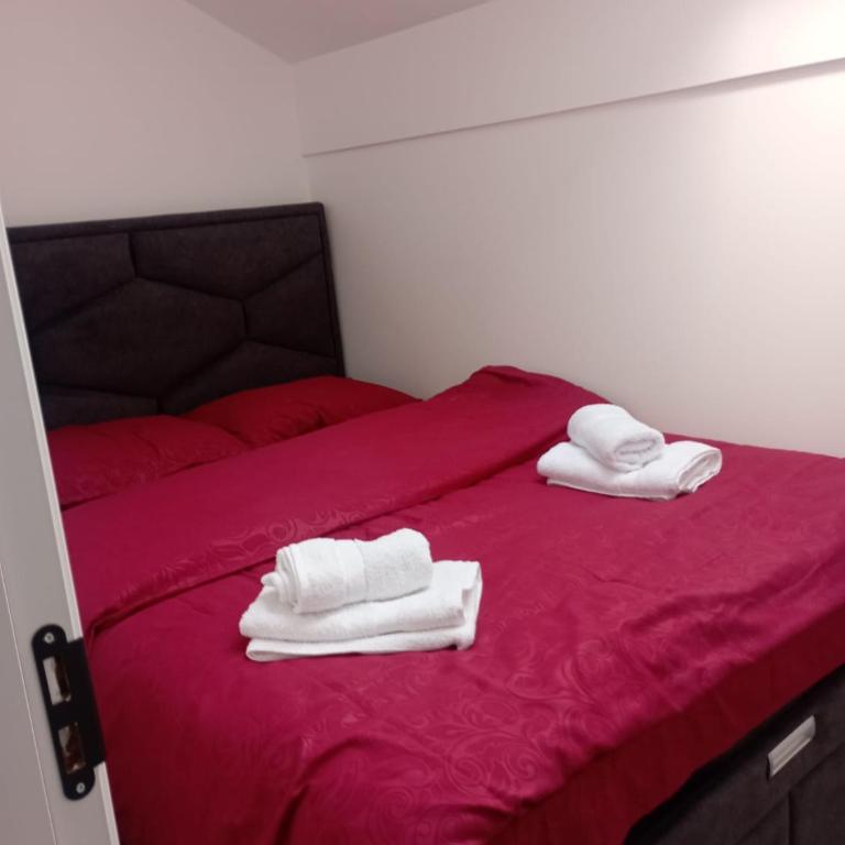 Vila Leona B-3 - Apartman sa 2 Spavaće Sobe - 10