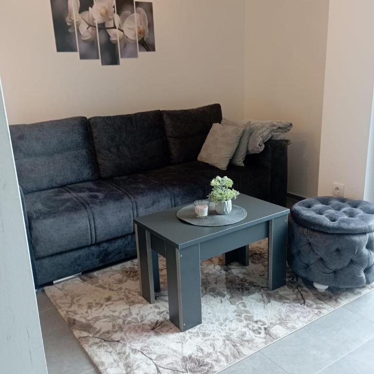 Vila Leona B-3 - Apartman sa 2 Spavaće Sobe - 15