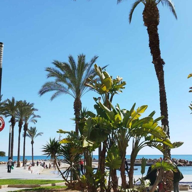 Seaview Torrevieja CityCenter CuraBeach 50m Apartment - Apartment with Sea View - 49