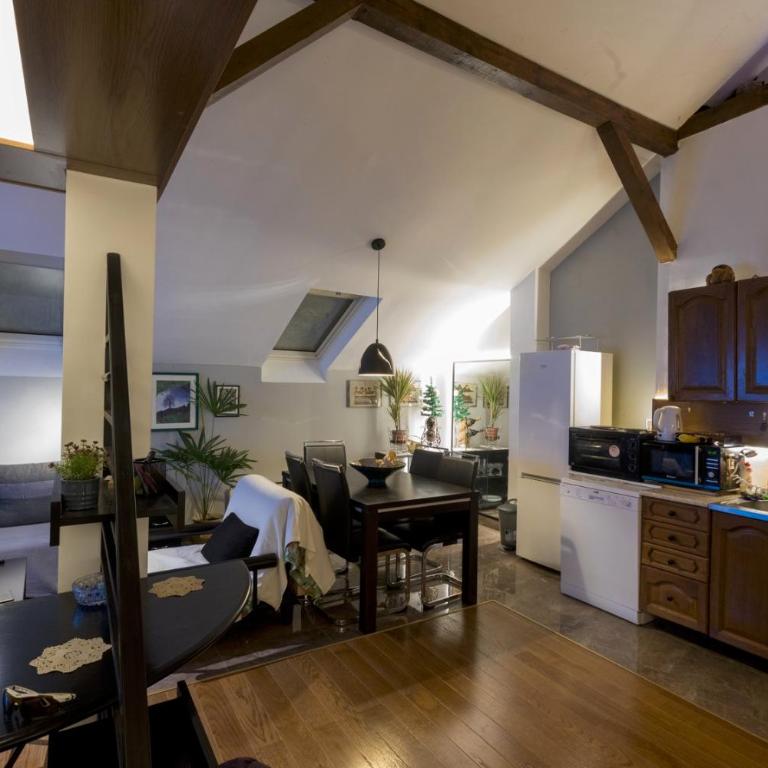 Oldest House Belgrade - Apartman sa 2 Spavaće Sobe - 2