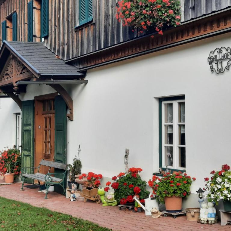 Die Traunmühle - Apartment mit schöner Aussicht - 41