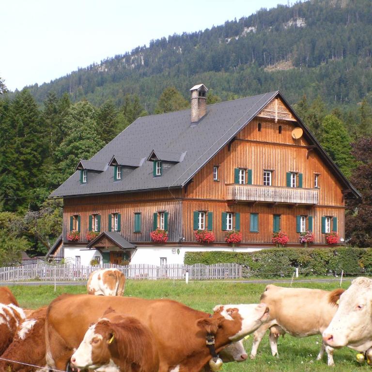 Die Traunmühle - Apartment mit schöner Aussicht - 1