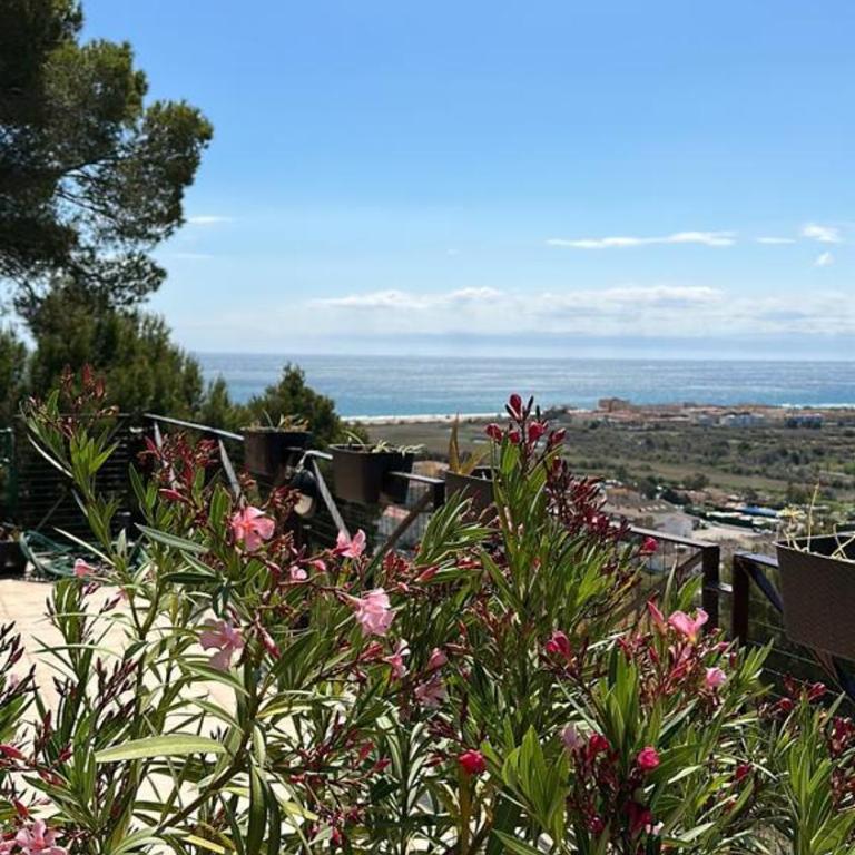 Green Houses of L'Estartit - Vacation Home - 1
