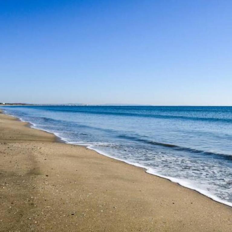 Nid douillet * Hyper Centre * Clim * Plage à 5 min * Port à 5 min - Estudio Superior - 4