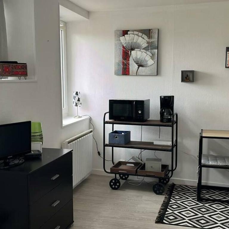 Studio proche du centre-ville - Appartement 1 Chambre - 1