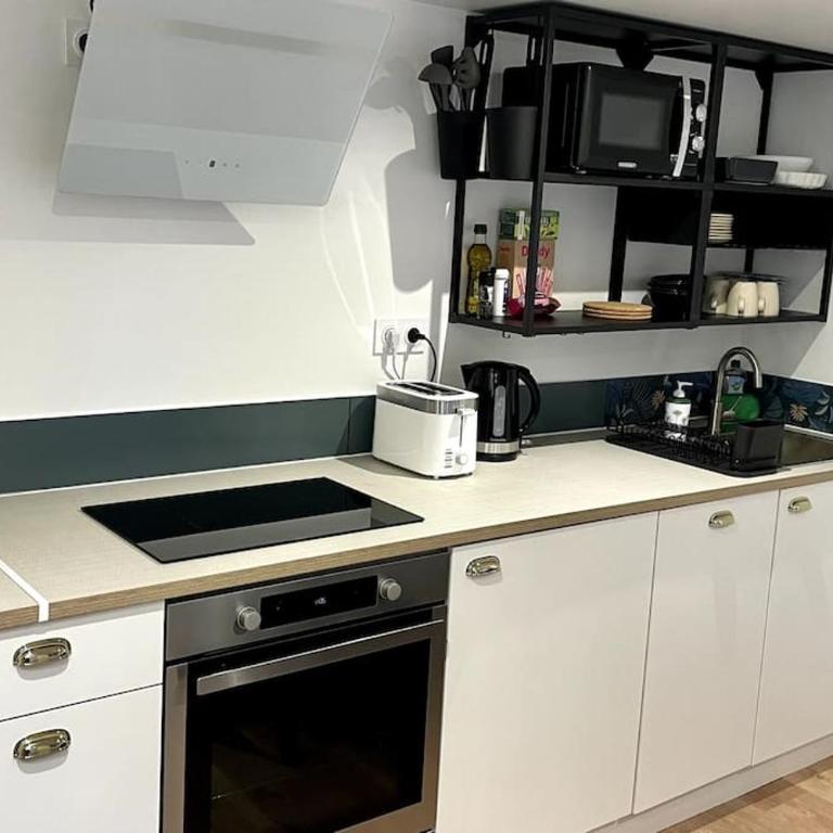 Maison et appartement attenant pour 10 personnes avec terrasse, cour et parking - Villa - 29