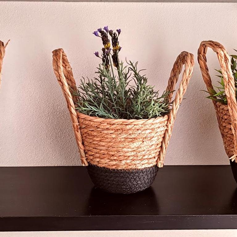 Appartamento Sant'Anna III - Appartamento con 2 Camere da Letto - 50