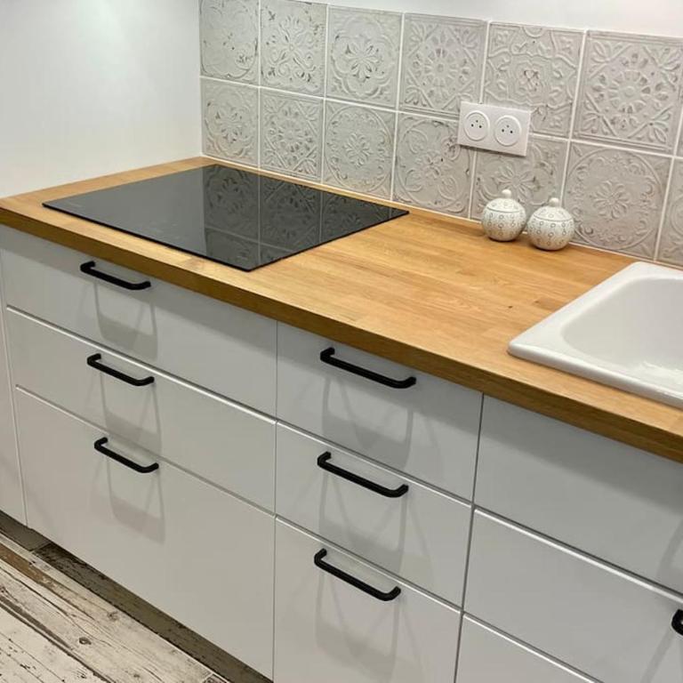 Maison et appartement attenant pour 10 personnes avec terrasse, cour et parking - Villa - 47