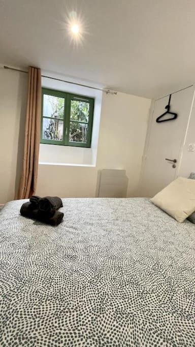 Maison et appartement attenant pour 10 personnes avec terrasse, cour et parking - Villa - 68