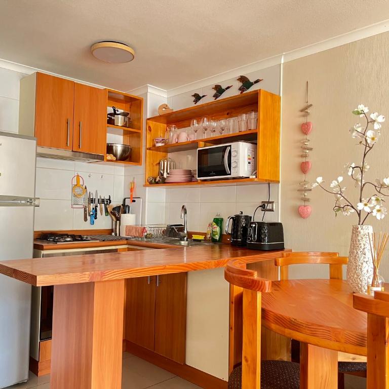 Espectacular Depto en Pucon 5 Estrellas - Apartamento de 1 dormitorio - 15