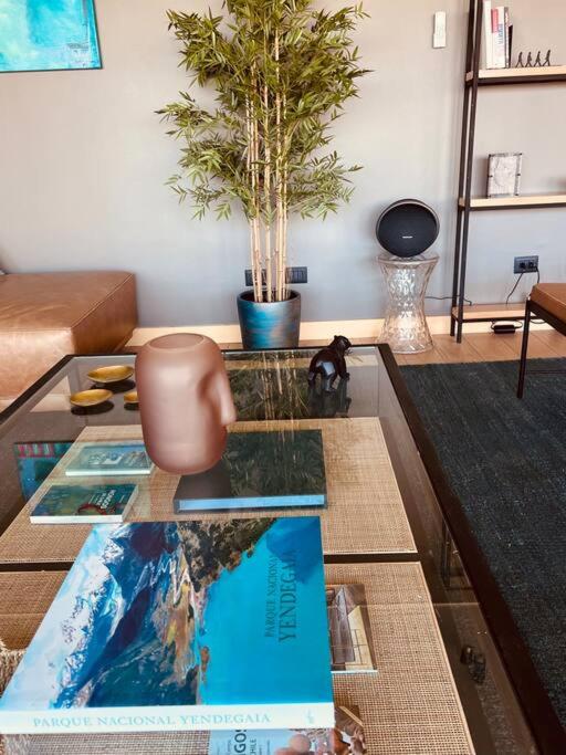 Lujoso apartamento en Vitacura - Two-Bedroom Apartment - 27