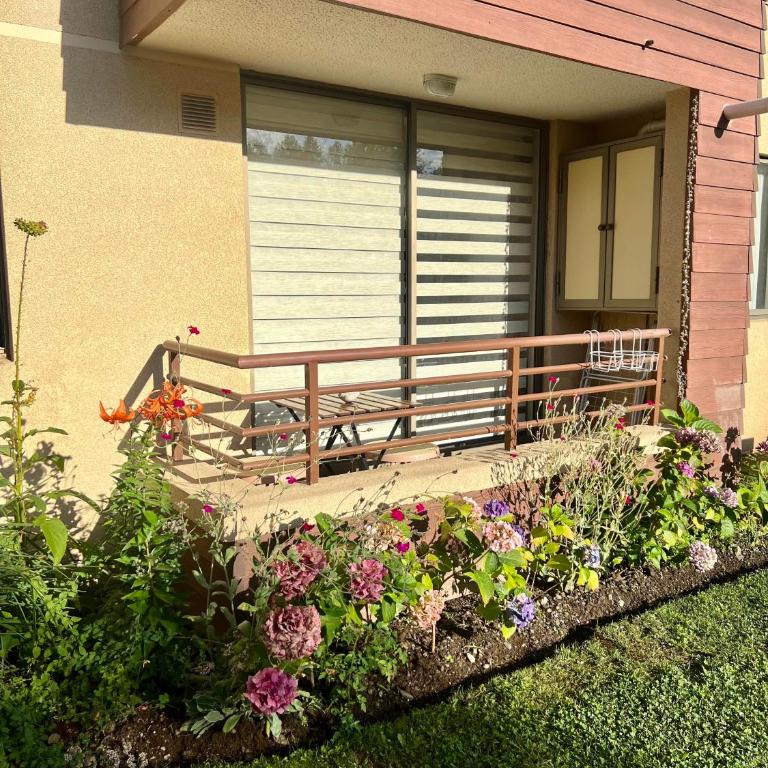 Espectacular Depto en Pucon 5 Estrellas - Apartamento de 1 dormitorio - 20