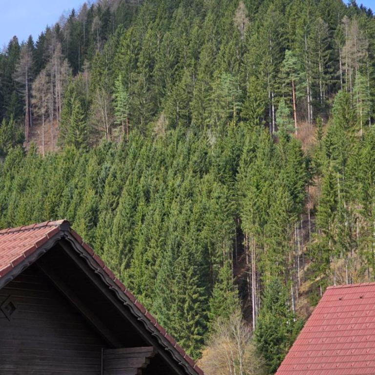 Träumerei Veitsch - Apartment mit 3 Schlafzimmern - 40