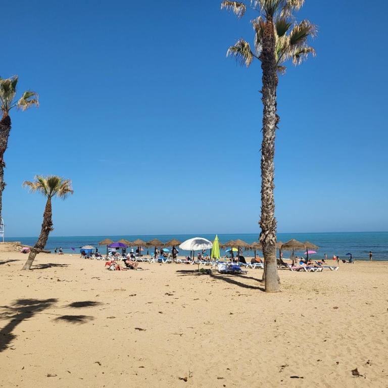 Apartamento Luna Blanca, La Mata, 300 m from the sea and sandy beach plus swimming pool - Apartamento de 1 dormitorio - 28