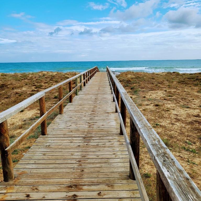 Apartamento Luna Blanca, La Mata, 300 m from the sea and sandy beach plus swimming pool - Apartamento de 1 dormitorio - 19