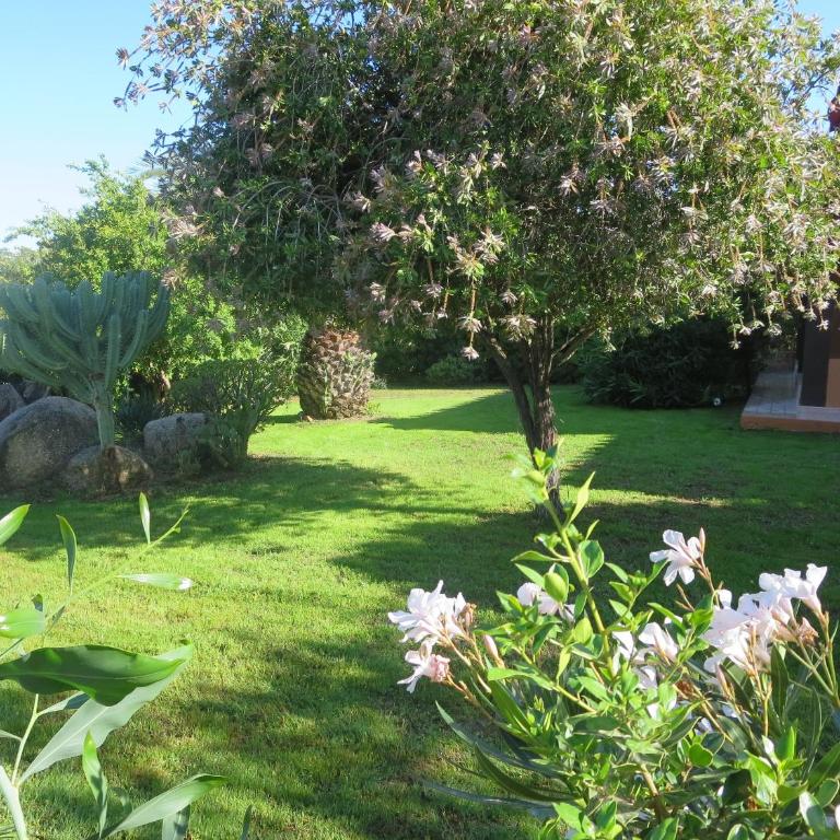 Villetta Sunrise 101 - Two-Bedroom Apartment - 10