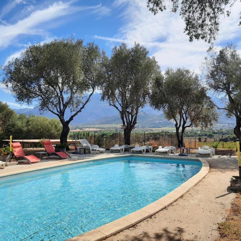 Location L'épi d'or Calvi, demeure de charme - Apartment mit 2 Schlafzimmern - 17