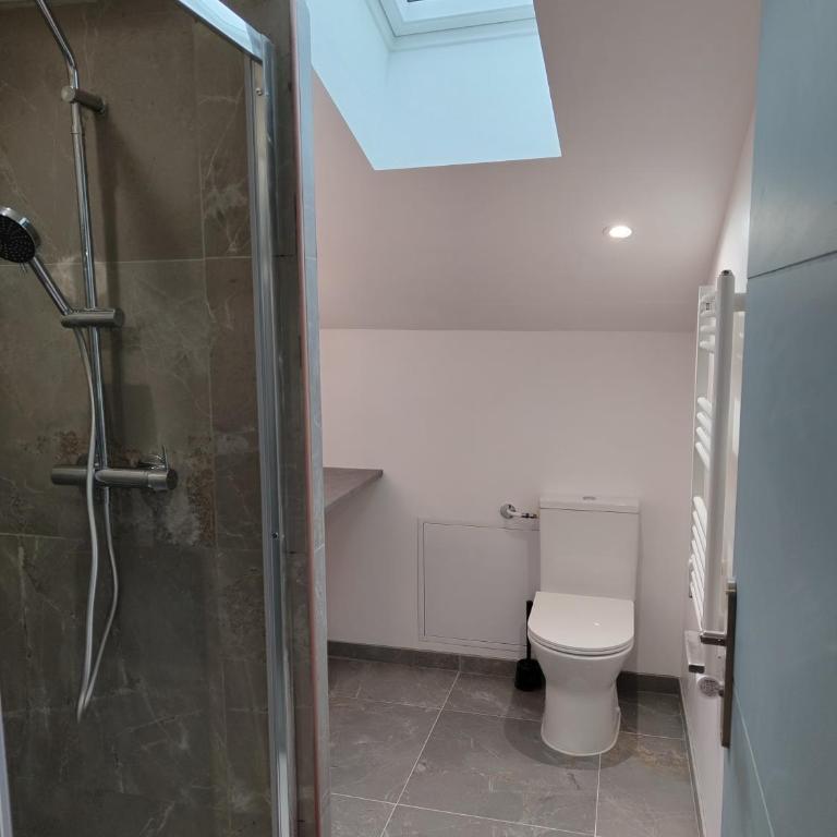 Magnifique Duplex de 135 m2 pour vos séjours jusqu'à 10 à Lourdes - Appartement - 29