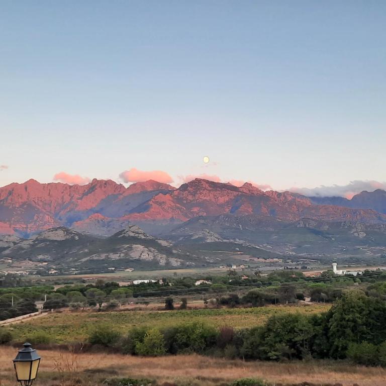 Location L'épi d'or Calvi, demeure de charme - Apartment mit 2 Schlafzimmern - 18