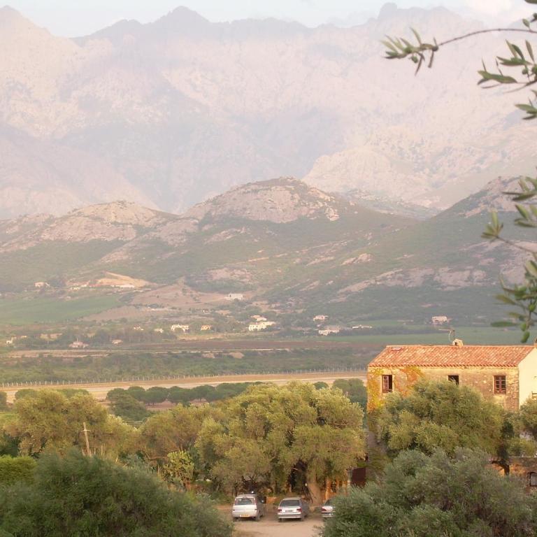 Location L'épi d'or Calvi, demeure de charme - Apartment mit 2 Schlafzimmern - 19
