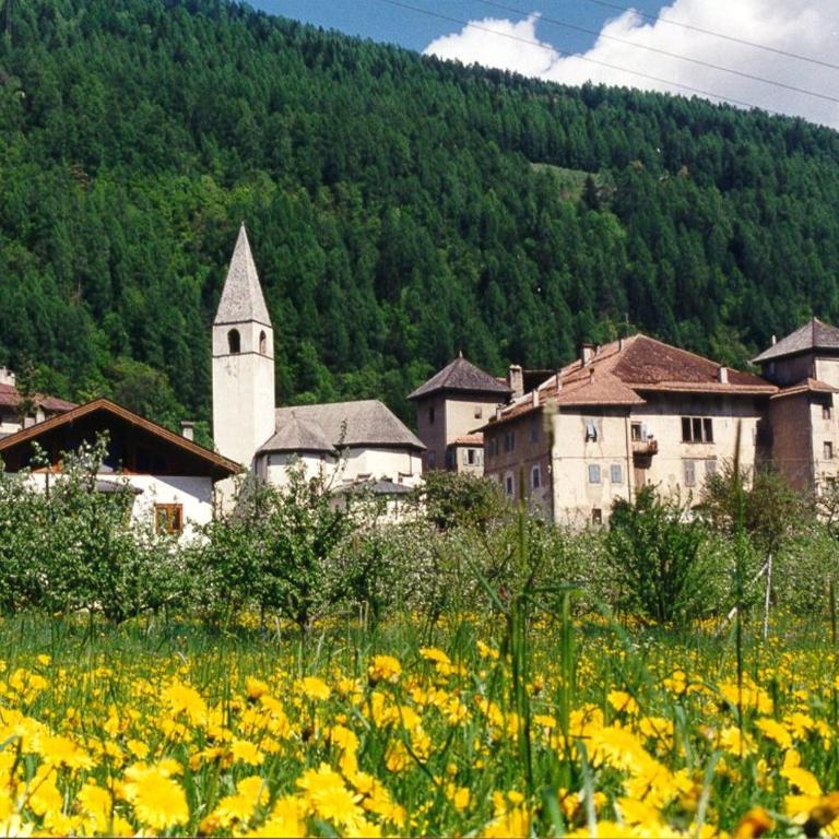 Incantevole appartamento in un Castello storico - Casa de 2 dormitorios - 1