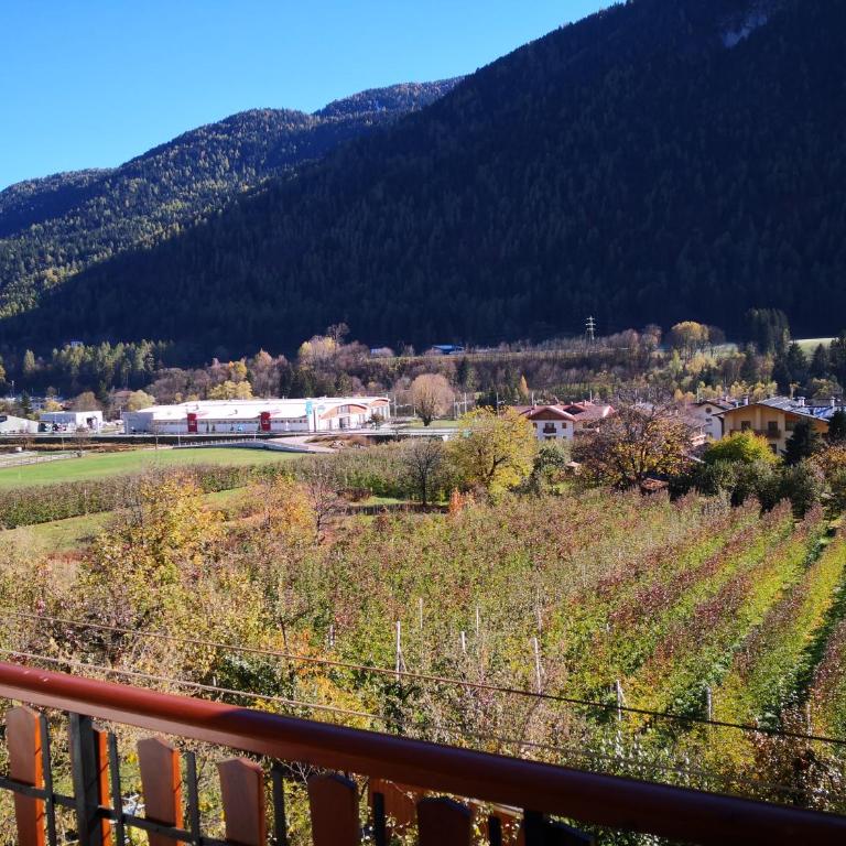Incantevole appartamento in un Castello storico - Casa de 2 dormitorios - 18
