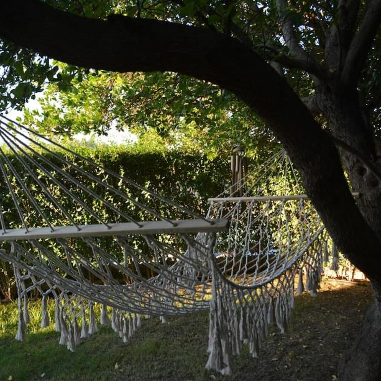 Vega Fahala Organic Orchard & Vacation Villa - Four-Bedroom House - 13
