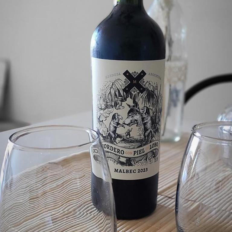 Mendoza es Montaña, Paz y Malbec - Apartamento de 2 dormitorios - 36