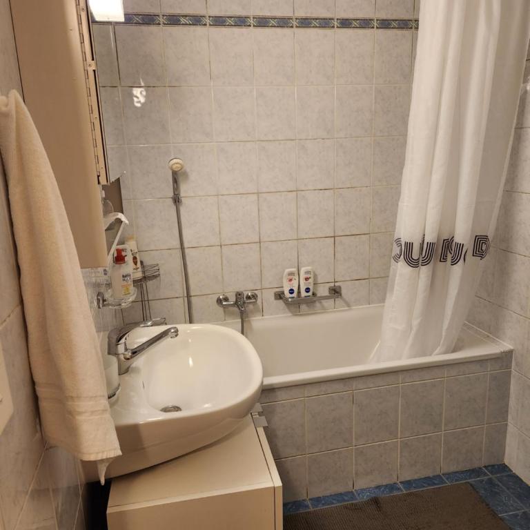 Room in Shared Apartment Geneva - Chambre Double avec Salle de Bains Commune - 9