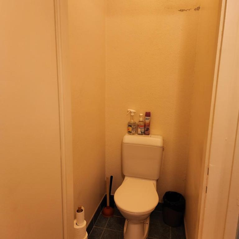 Room in Shared Apartment Geneva - Chambre Double avec Salle de Bains Commune - 11