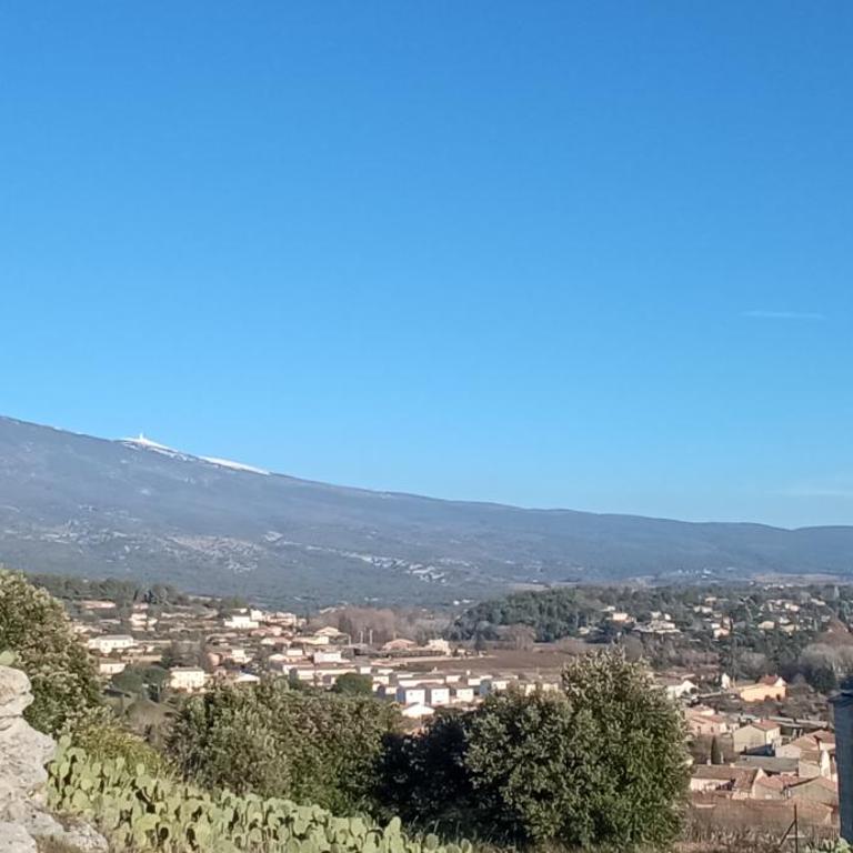 Le logis du Ventoux - Haus mit 1 Schlafzimmer - 12