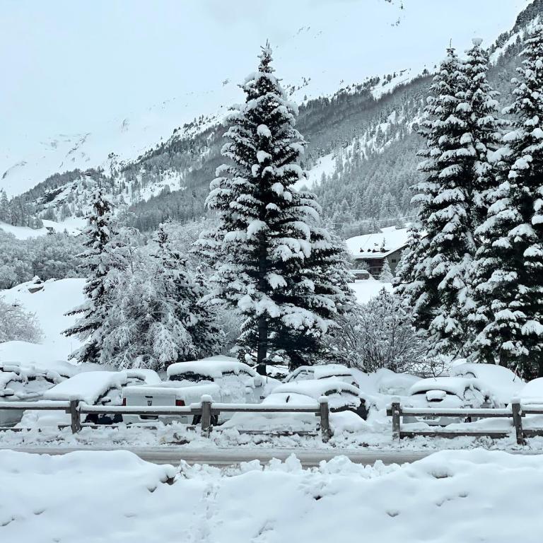 Les Barmettes Appart rénové avec vue, parking et skis aux pieds - Apartment mit 2 Schlafzimmern - 24