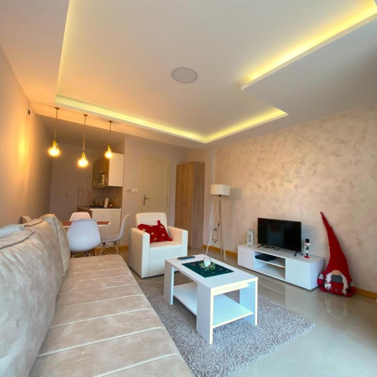 Apartmani Vujanac - Standardni Studio - 3