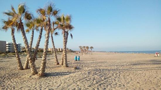 APARTAMENTO PLANTA BAJA CANET DE BERENGUER - Apartamento de 2 dormitorios - 56