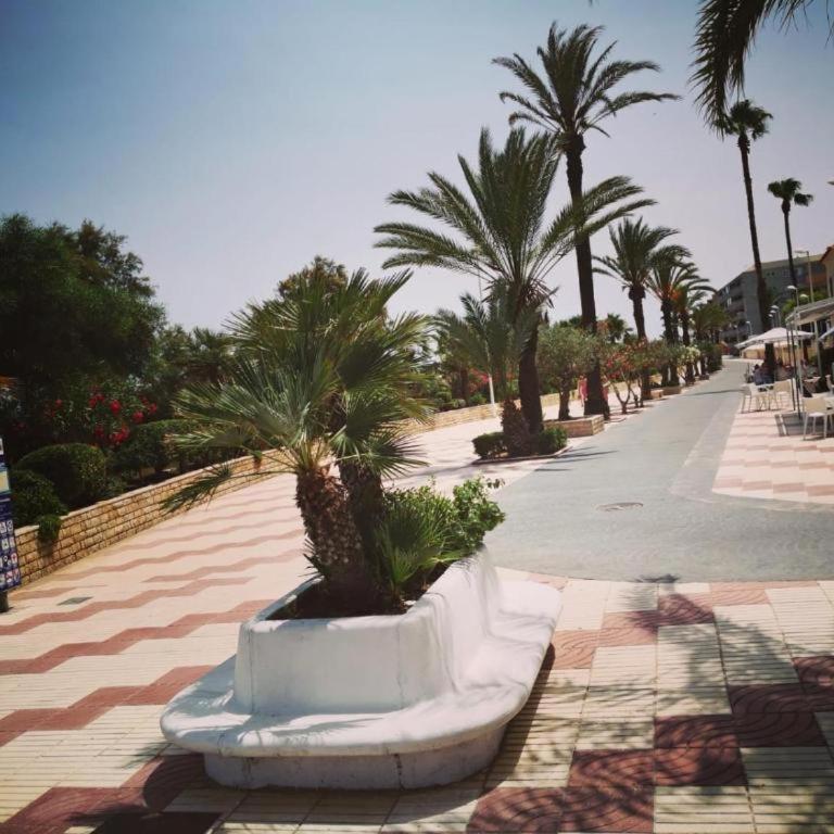 APARTAMENTO PLANTA BAJA CANET DE BERENGUER - Apartamento de 2 dormitorios - 57