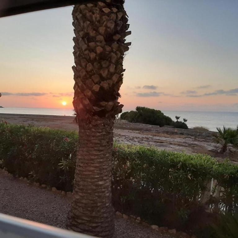 Vistamar Apartamento Luxury B - One-Bedroom Apartment - 37