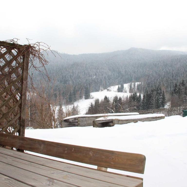 Bio - Appartements Bischof, Familie Wind - Apartment mit 1 Schlafzimmer und Terrasse - 10
