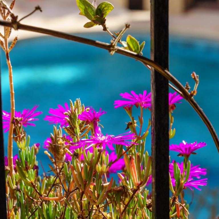 Fuengirola Seaside Bliss: 3 BR with a View - Apartamento de 3 dormitorios - 12