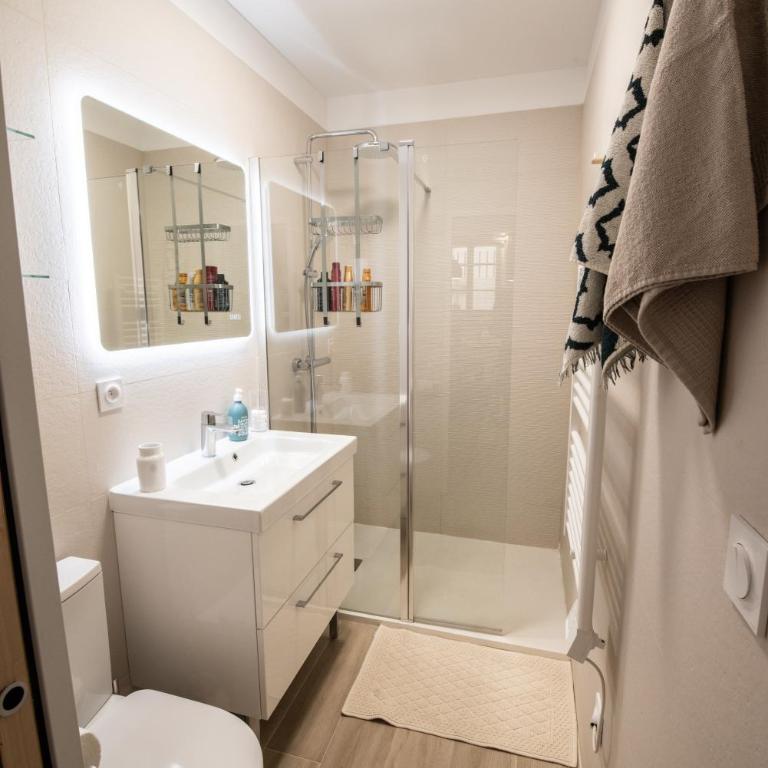 T2 cosy et climatisé au cœur de la ville - La Golondrina - Apartamento de 1 dormitorio - 37