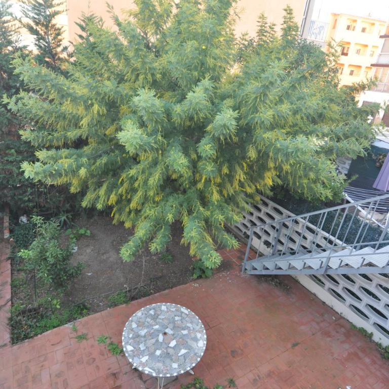 RNET - Clot de Franquets - Roses Santa Margarita - Apartment with Garden View - 5