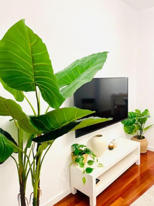 NEW Elegant Apartment in the Heart of Malaga - Apartamento de 2 dormitorios - 14