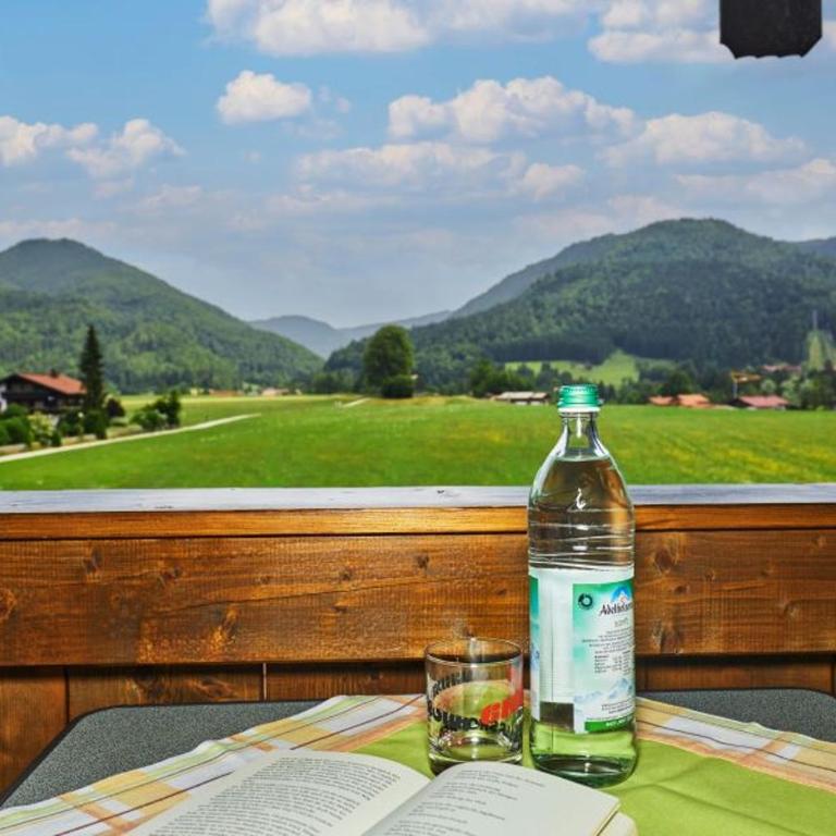 Landhaus Viktoria - Apartment mit Balkon - 12