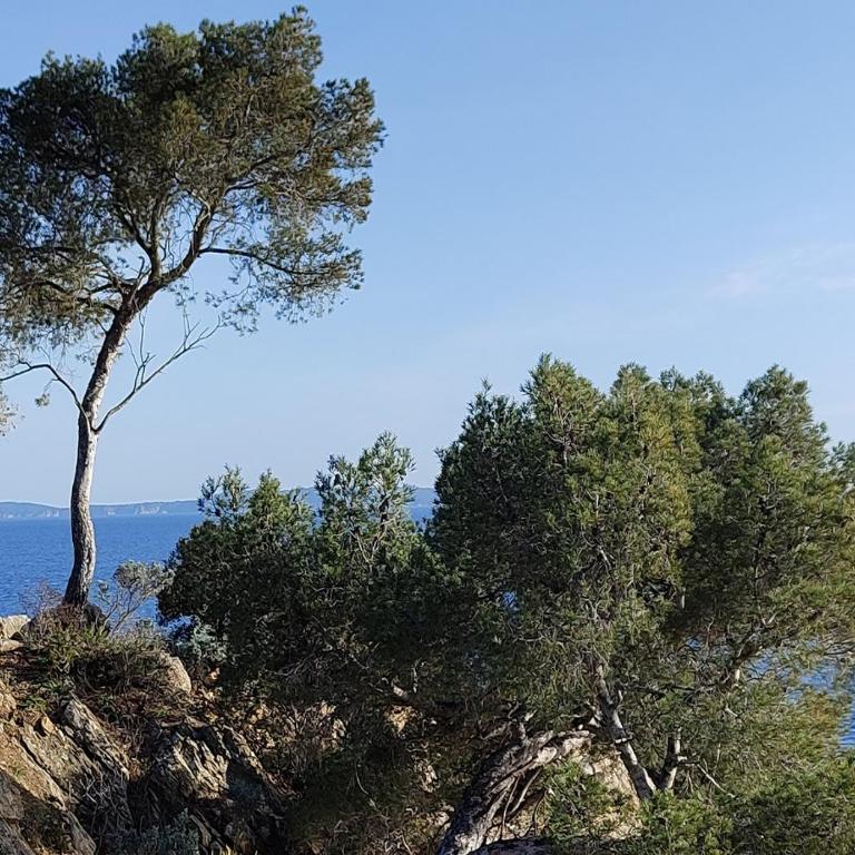 T3, 2ch, classé 3,parking gratuit sur place à 600m de la plage, des commerces ,du port proche st tropez - Appartement 2 Chambres - 50