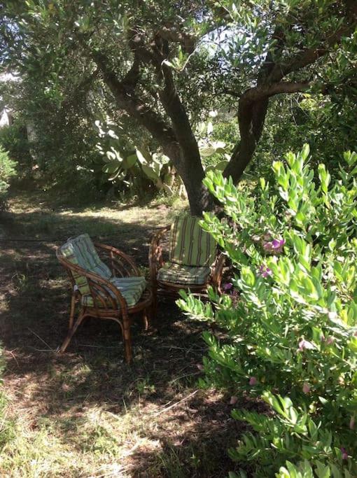 trullo primitivo - Casa con 3 Camere da Letto - 8