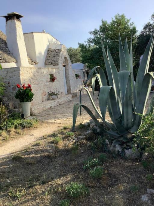 trullo primitivo - Casa con 3 Camere da Letto - 29