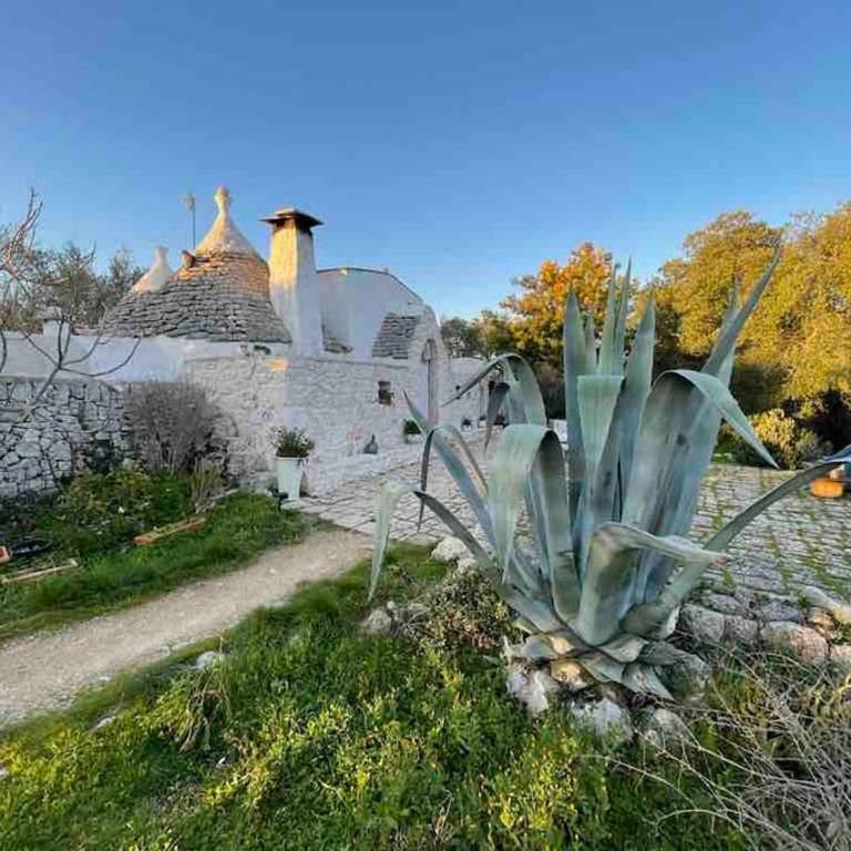 trullo primitivo - Casa con 3 Camere da Letto - 39